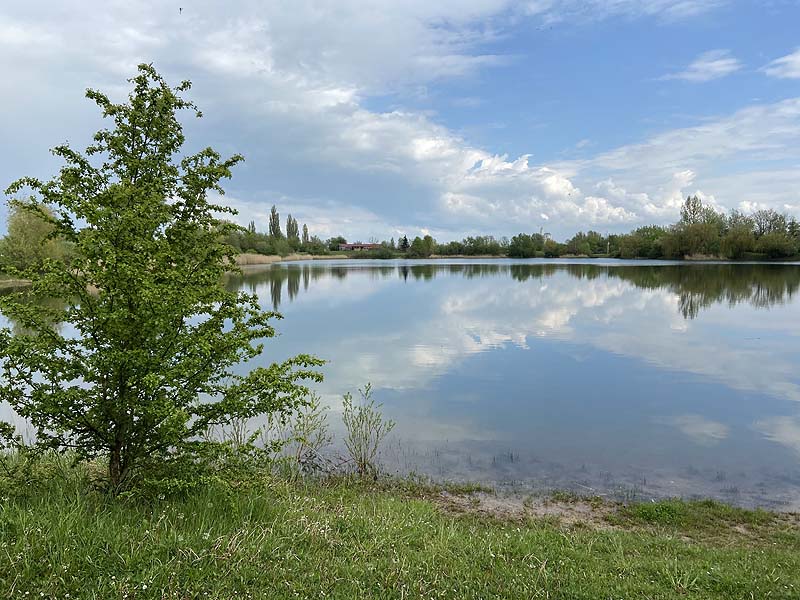 Die Kiesgrube Leubingen in Thüringen