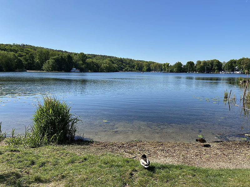 Lieper Bucht an der Havel (Berlin)