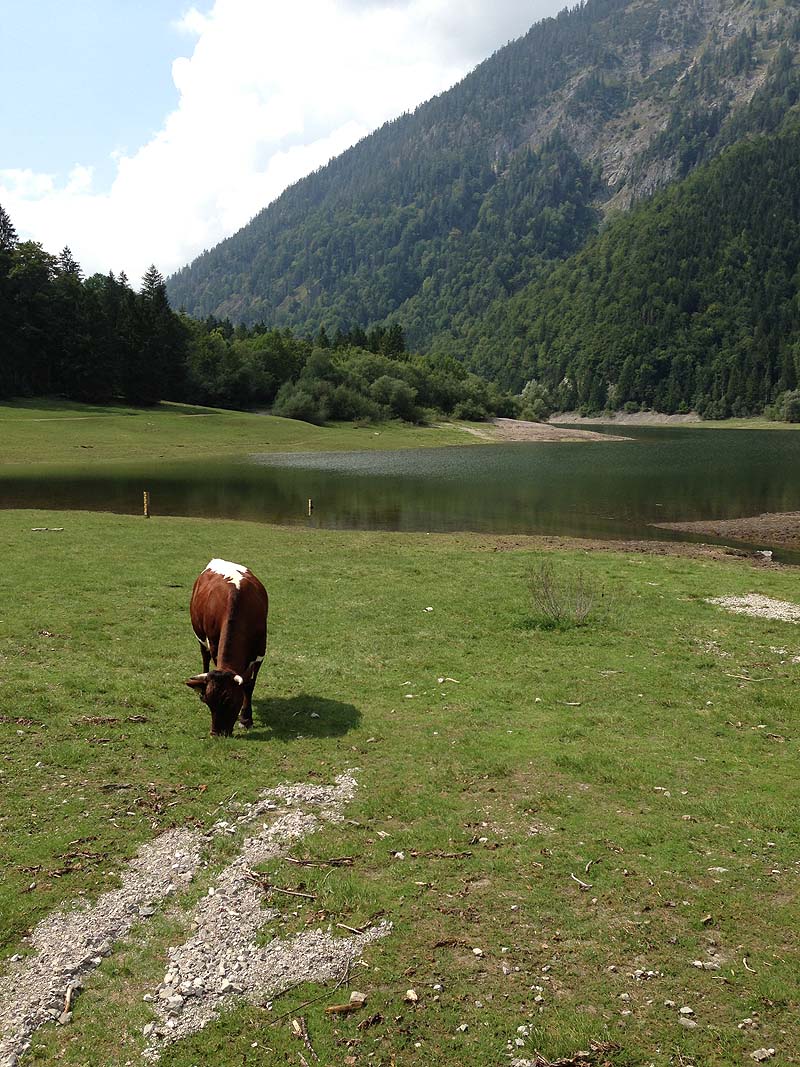 Der Lödensee bei Reit im Winkl (Bayern)