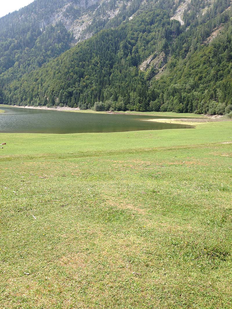 Der Lödensee bei Reit im Winkl (Bayern)