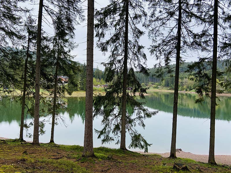 Der Lütsche-Stausee in Frankenhain
