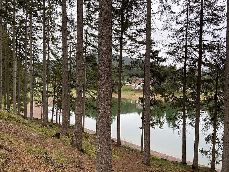 Der Lütsche-Stausee in Frankenhain