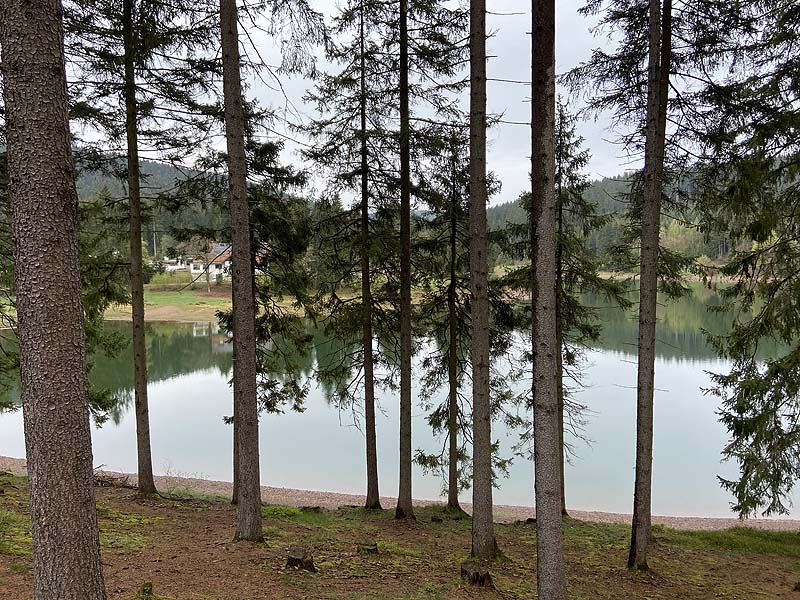 Der Lütsche-Stausee in Frankenhain