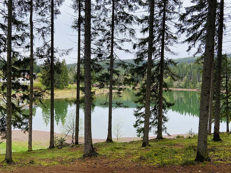 Der Lütsche-Stausee in Frankenhain