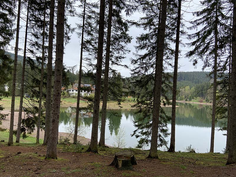 Der Lütsche-Stausee in Frankenhain