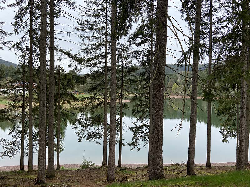Der Lütsche-Stausee in Frankenhain