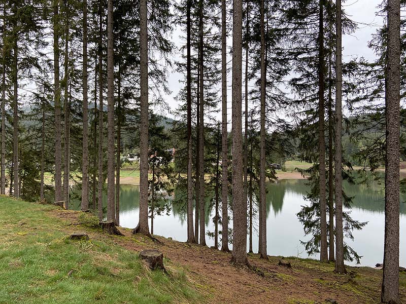Der Lütsche-Stausee in Frankenhain