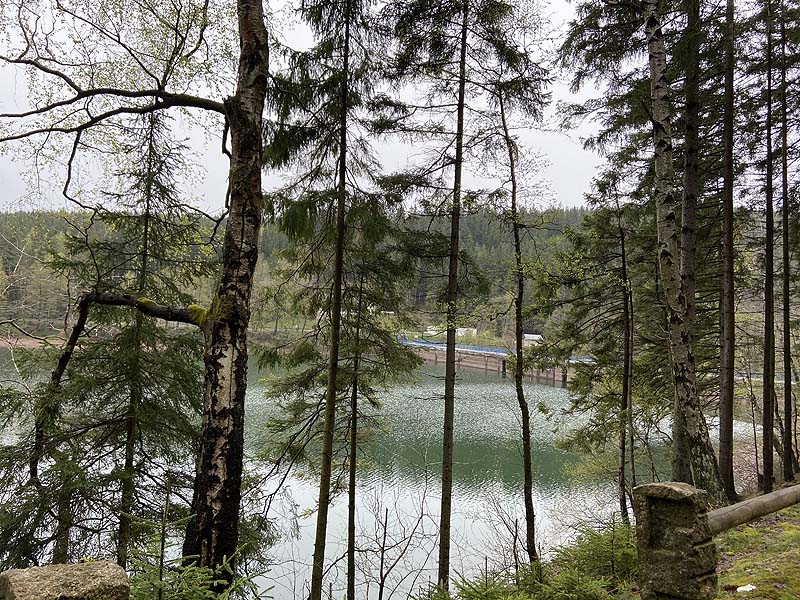 Der Lütsche-Stausee in Frankenhain