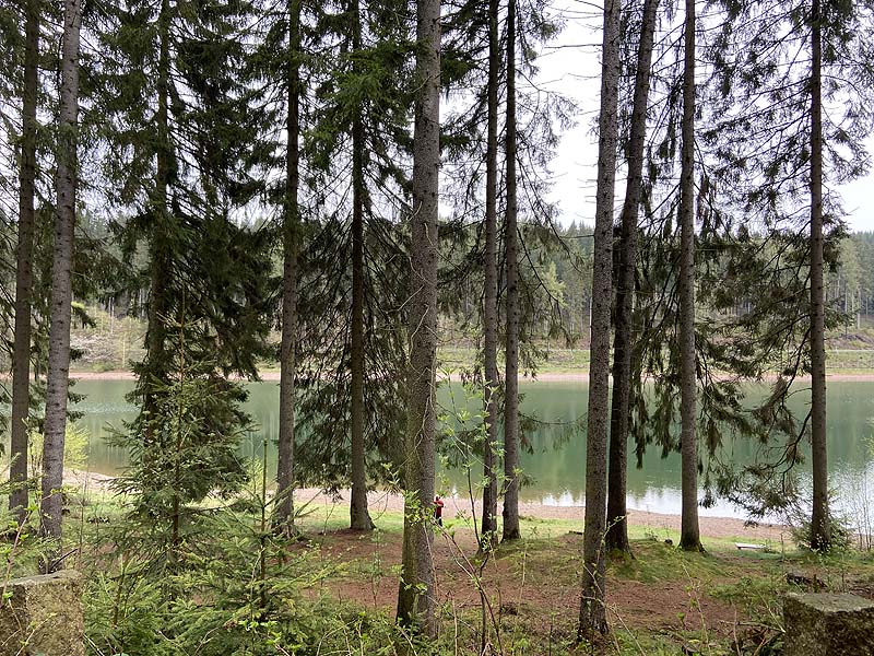 Der Lütsche-Stausee in Frankenhain