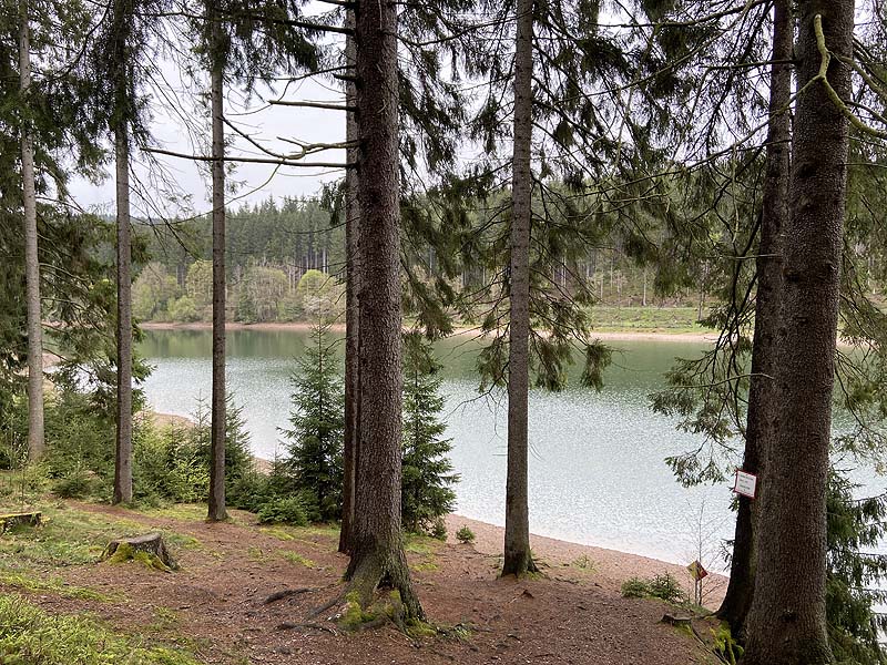Der Lütsche-Stausee in Frankenhain