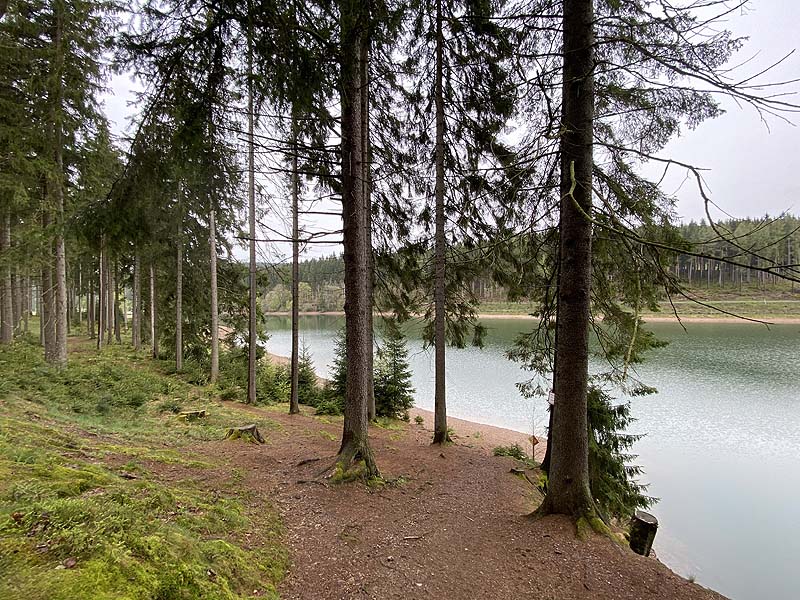 Der Lütsche-Stausee in Frankenhain
