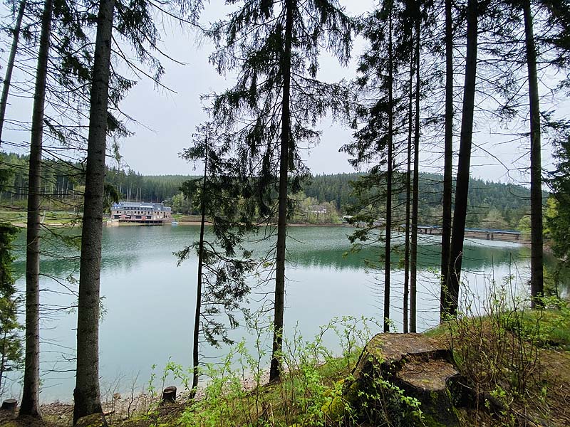 Der Lütsche-Stausee in Frankenhain