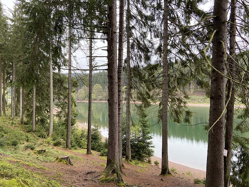 Der Lütsche-Stausee in Frankenhain