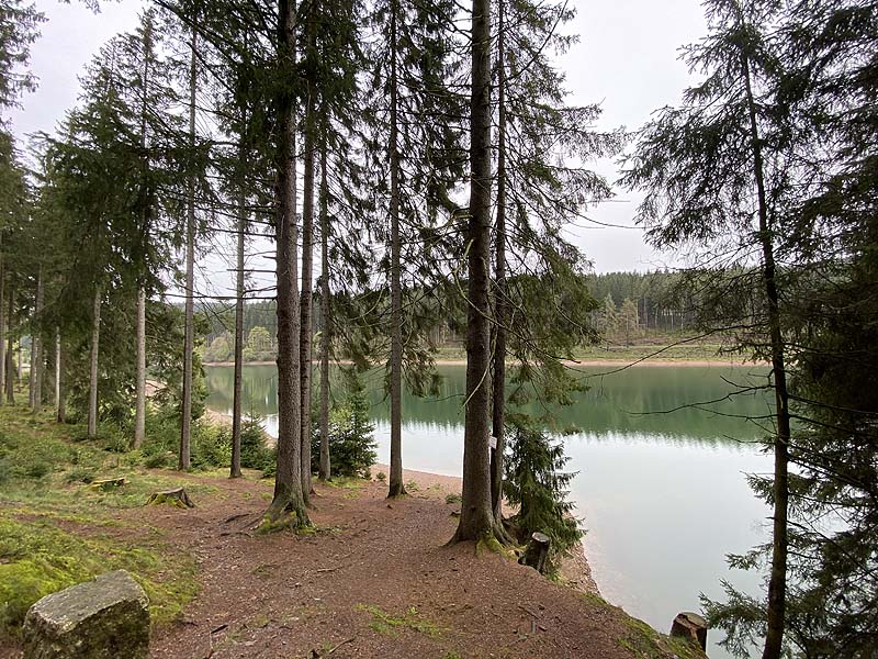Der Lütsche-Stausee in Frankenhain