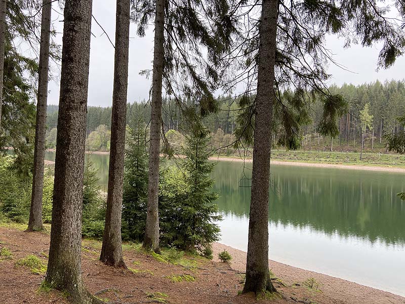 Der Lütsche-Stausee in Frankenhain