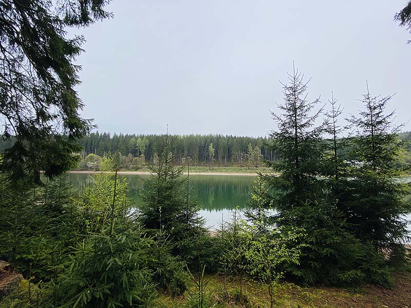 Der Lütsche-Stausee in Frankenhain