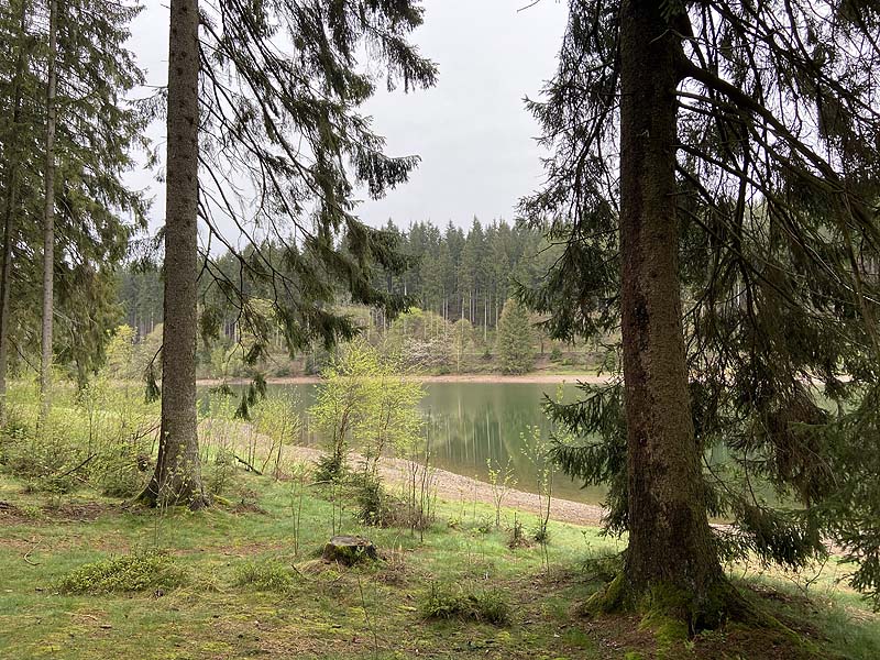 Der Lütsche-Stausee in Frankenhain