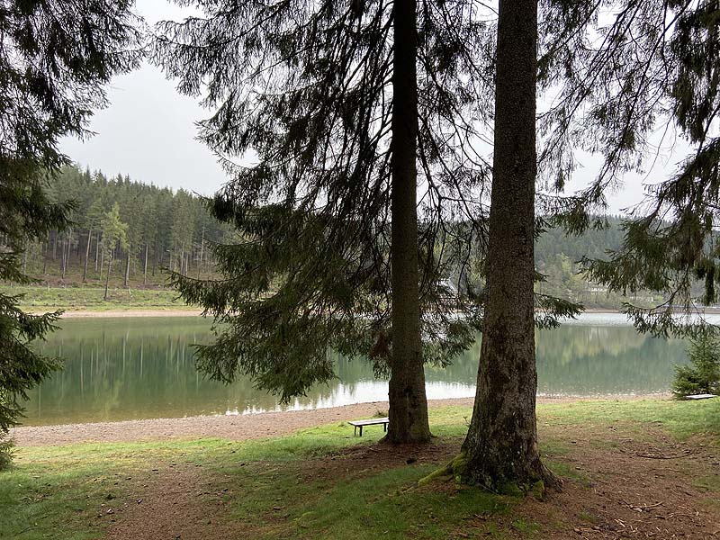 Der Lütsche-Stausee in Frankenhain