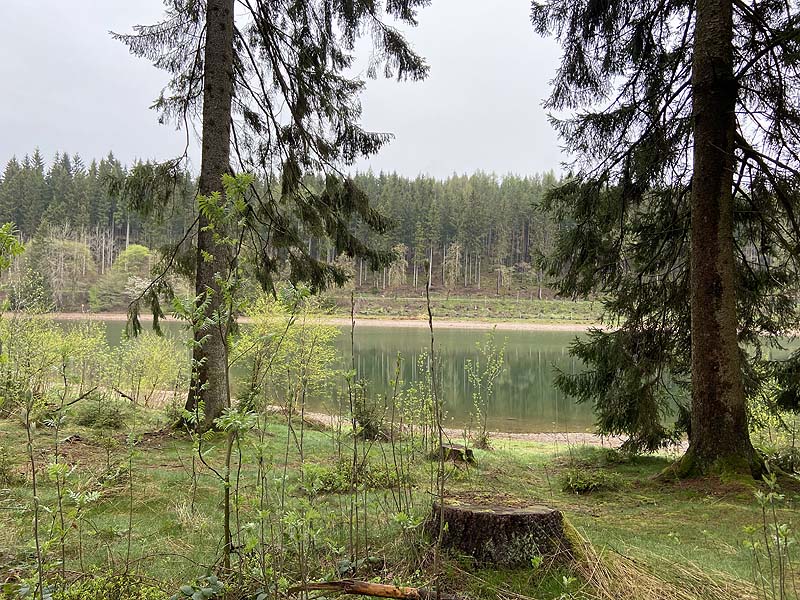 Der Lütsche-Stausee in Frankenhain