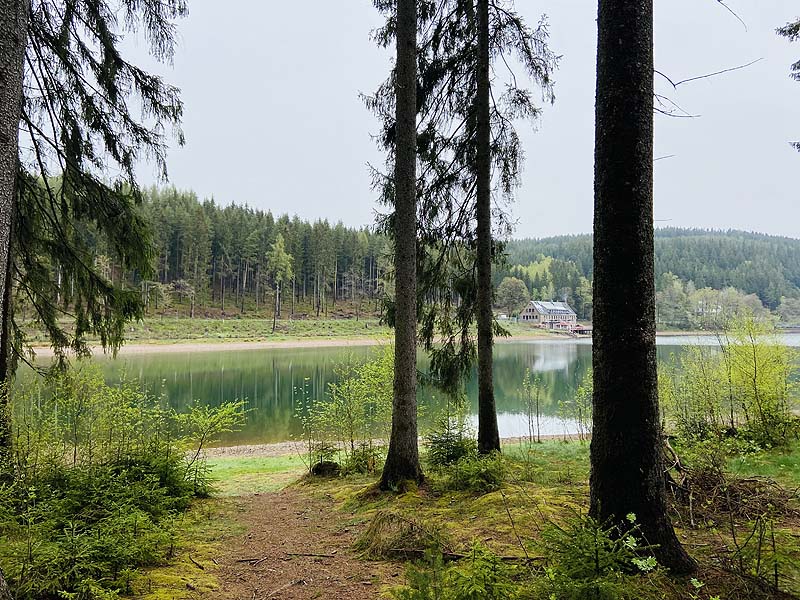 Der Lütsche-Stausee in Frankenhain