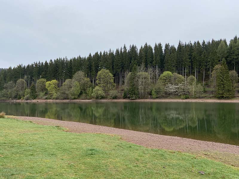 Der Lütsche-Stausee in Frankenhain