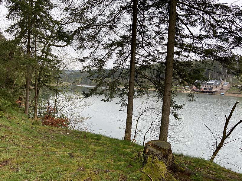 Der Lütsche-Stausee in Frankenhain