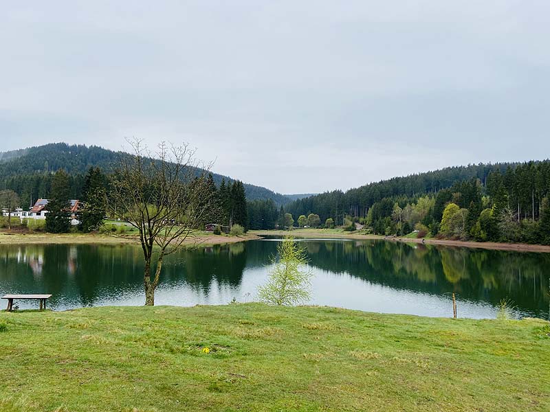 Der Lütsche-Stausee in Frankenhain