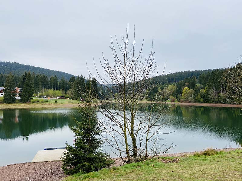 Der Lütsche-Stausee in Frankenhain