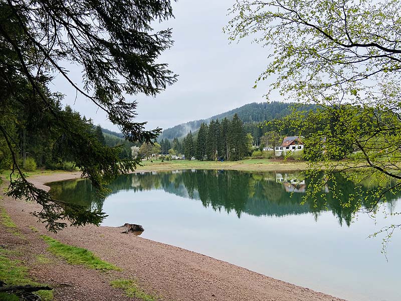 Der Lütsche-Stausee in Frankenhain