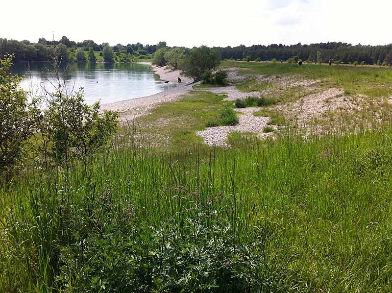 Mallertshofener See (Oberschleißheim, Bayern)