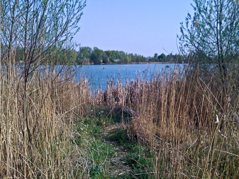 Marzlinger Weiher - Impressionen aus dem Jahr 2009