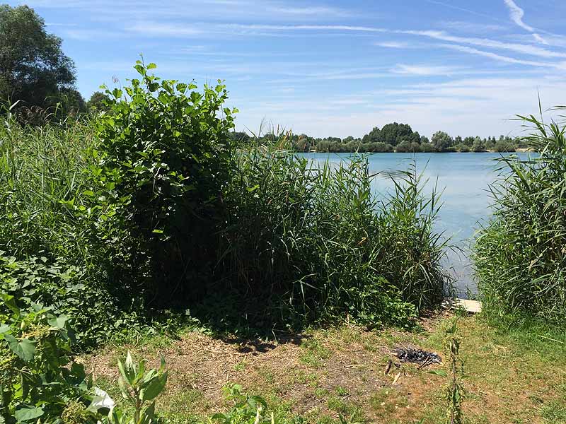 Stoibermühlsee, Marzlinger Weiher (Freising, Bayern)