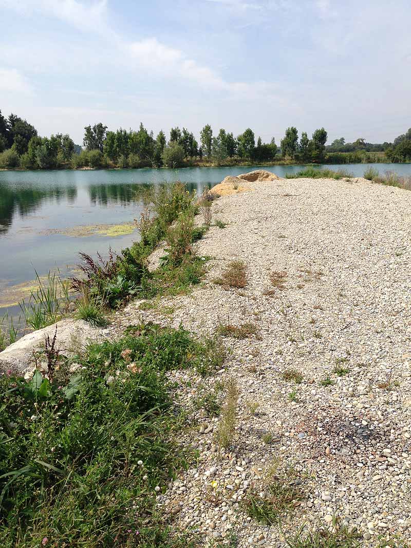 Stoibermühlsee, Marzlinger Weiher (Freising, Bayern)