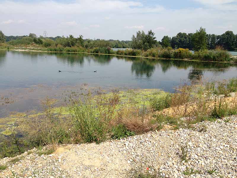 Stoibermühlsee, Marzlinger Weiher (Freising, Bayern)