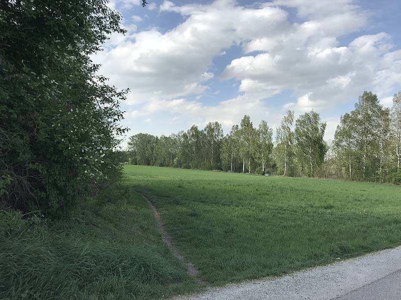 Marzlinger Weiher - Impressionen aus den Jahren 2017 und 2018