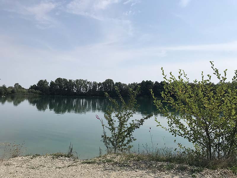 Marzlinger Weiher - Impressionen aus den Jahren 2017 und 2018