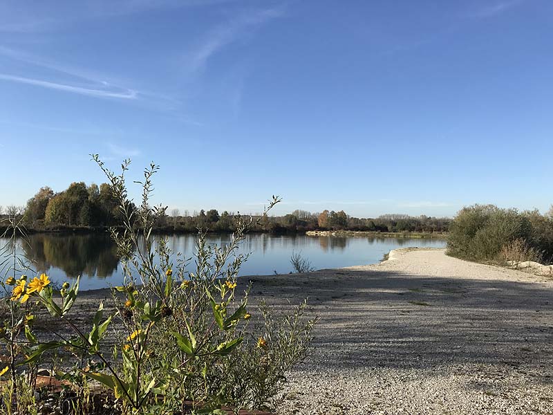 Marzlinger Weiher - Impressionen aus den Jahren 2017 und 2018