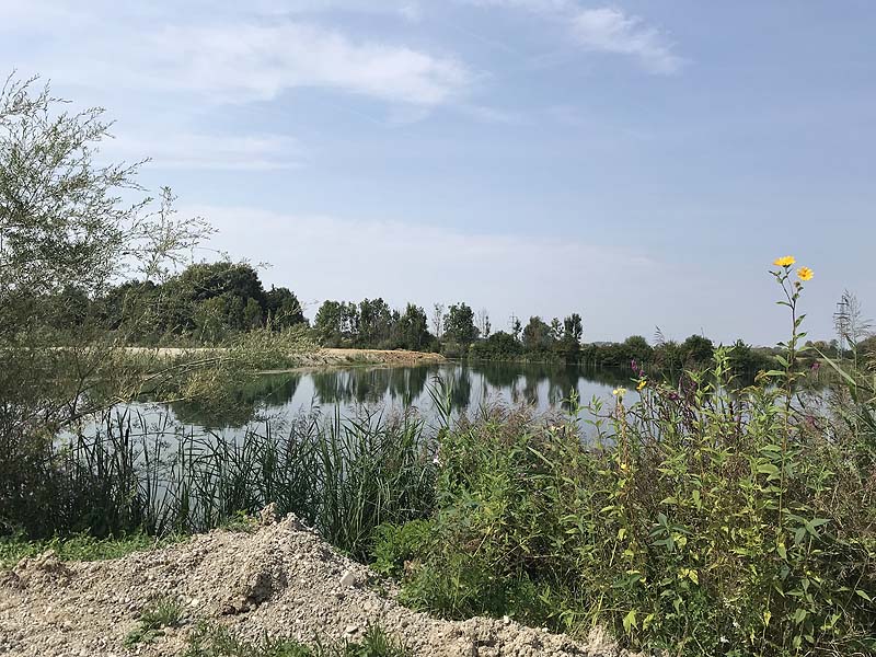 Marzlinger Weiher - Impressionen aus den Jahren 2017 und 2018