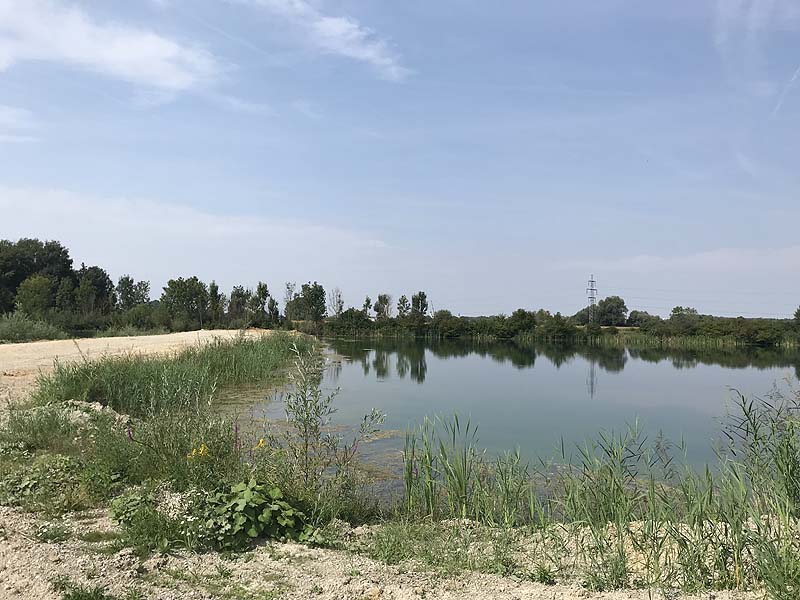 Marzlinger Weiher - Impressionen aus den Jahren 2017 und 2018