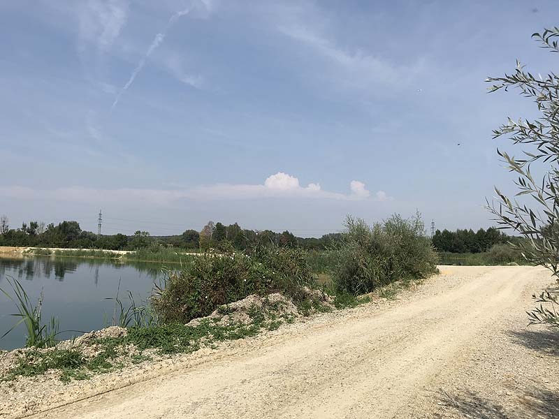 Marzlinger Weiher - Impressionen aus den Jahren 2017 und 2018