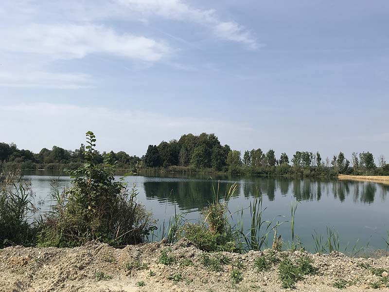 Marzlinger Weiher - Impressionen aus den Jahren 2017 und 2018