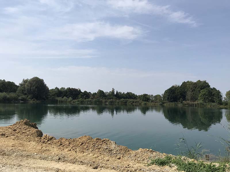 Marzlinger Weiher - Impressionen aus den Jahren 2017 und 2018