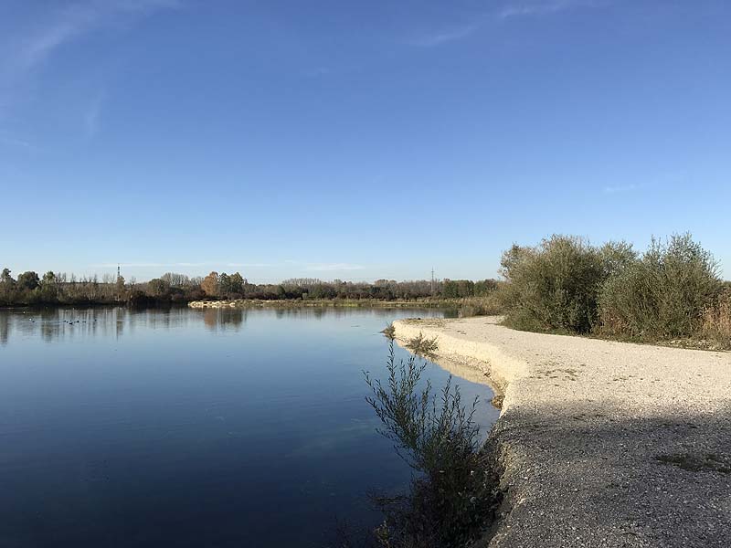 Marzlinger Weiher - Impressionen aus den Jahren 2017 und 2018