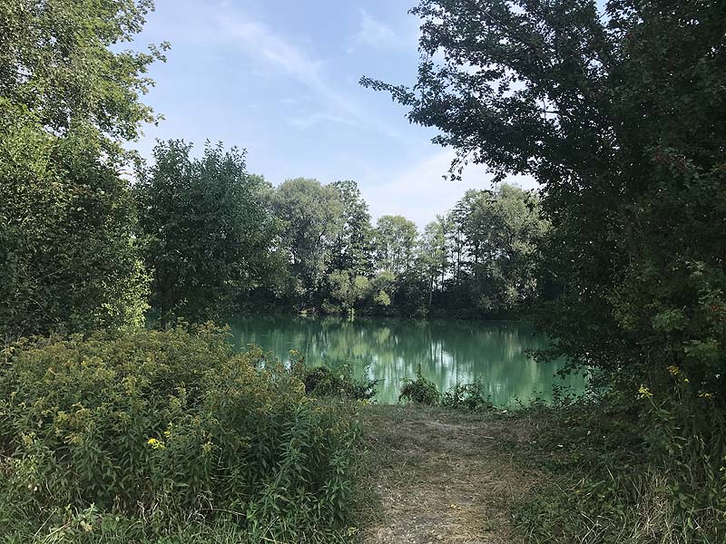 Marzlinger Weiher - Impressionen aus den Jahren 2017 und 2018