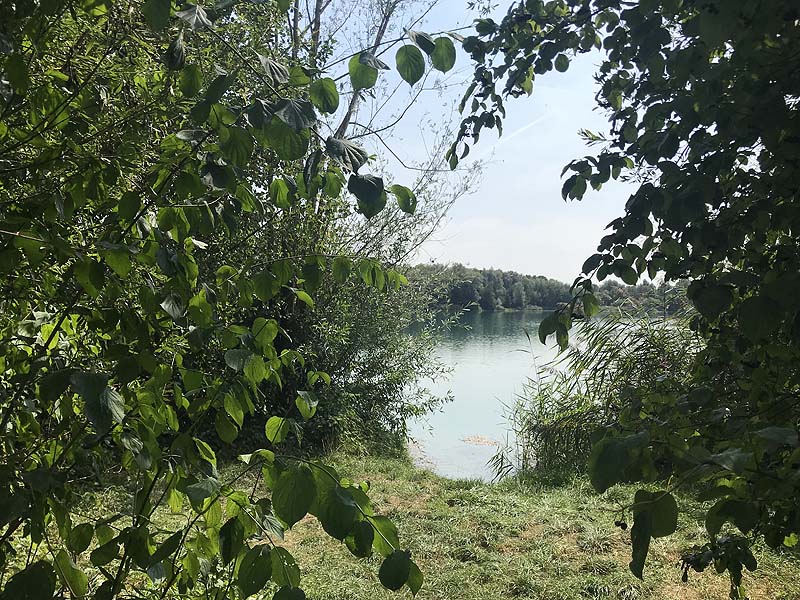 Marzlinger Weiher - Impressionen aus den Jahren 2017 und 2018