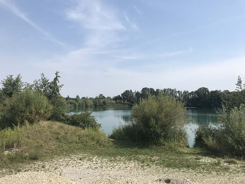 Marzlinger Weiher - Impressionen aus den Jahren 2017 und 2018