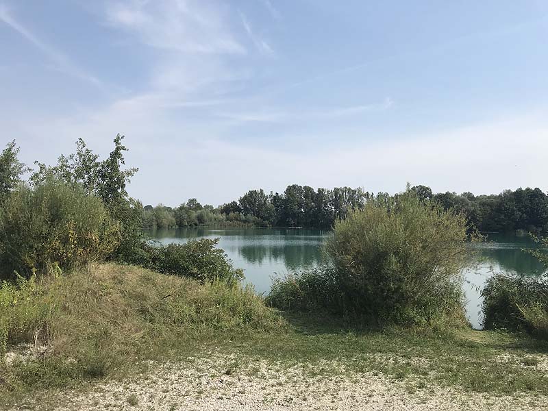 Marzlinger Weiher - Impressionen aus den Jahren 2017 und 2018