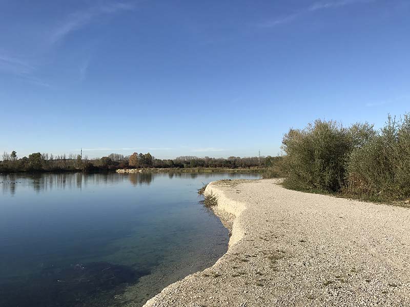 Marzlinger Weiher - Impressionen aus den Jahren 2017 und 2018