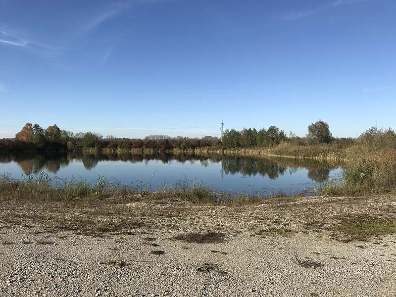 Marzlinger Weiher - Impressionen aus den Jahren 2017 und 2018