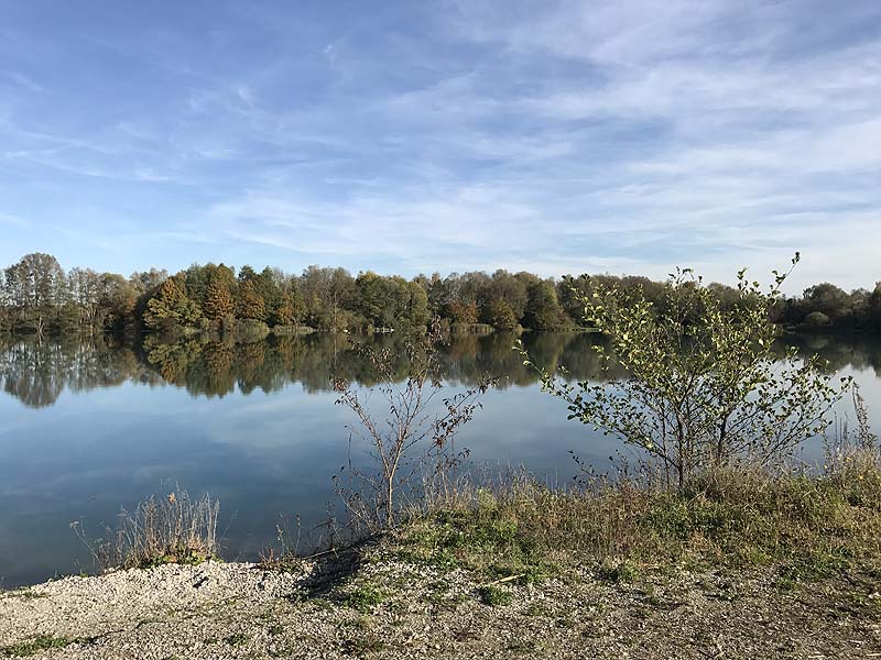 Marzlinger Weiher - Impressionen aus den Jahren 2017 und 2018